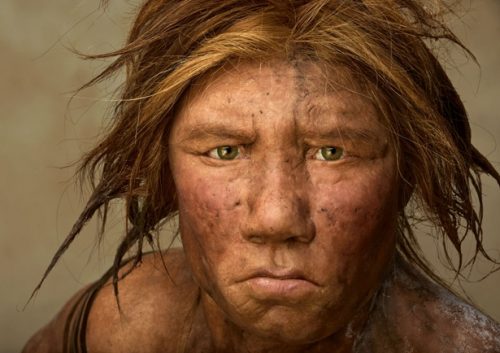 neandertal-wilma